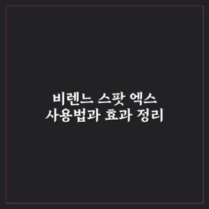 비렌느 스팟 엑스 사용법과 효과 정리
